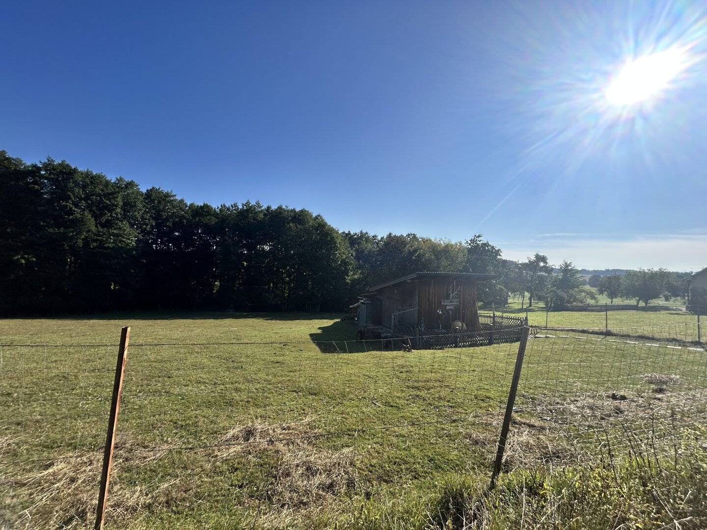 Spacious Game Reserve, Fish Pond with Water Rights approx. 6476 m² in Kirchstetten, well maintained and versatile
