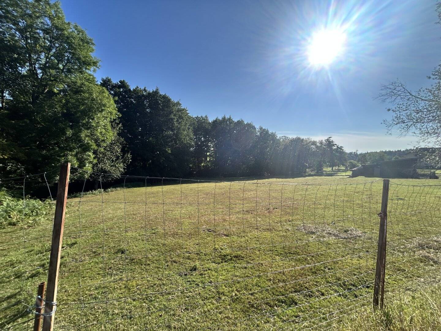 Spacious Game Reserve, Fish Pond with Water Rights approx. 6476 m² in Kirchstetten, well maintained and versatile
