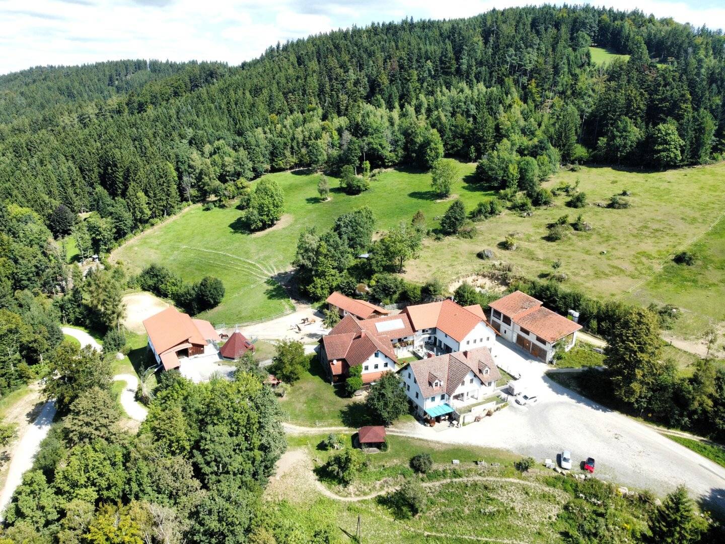 Dream estate for horse lovers in secluded location with approx. 13 ha - trail riding in the horse realm Mühlviertler Alm