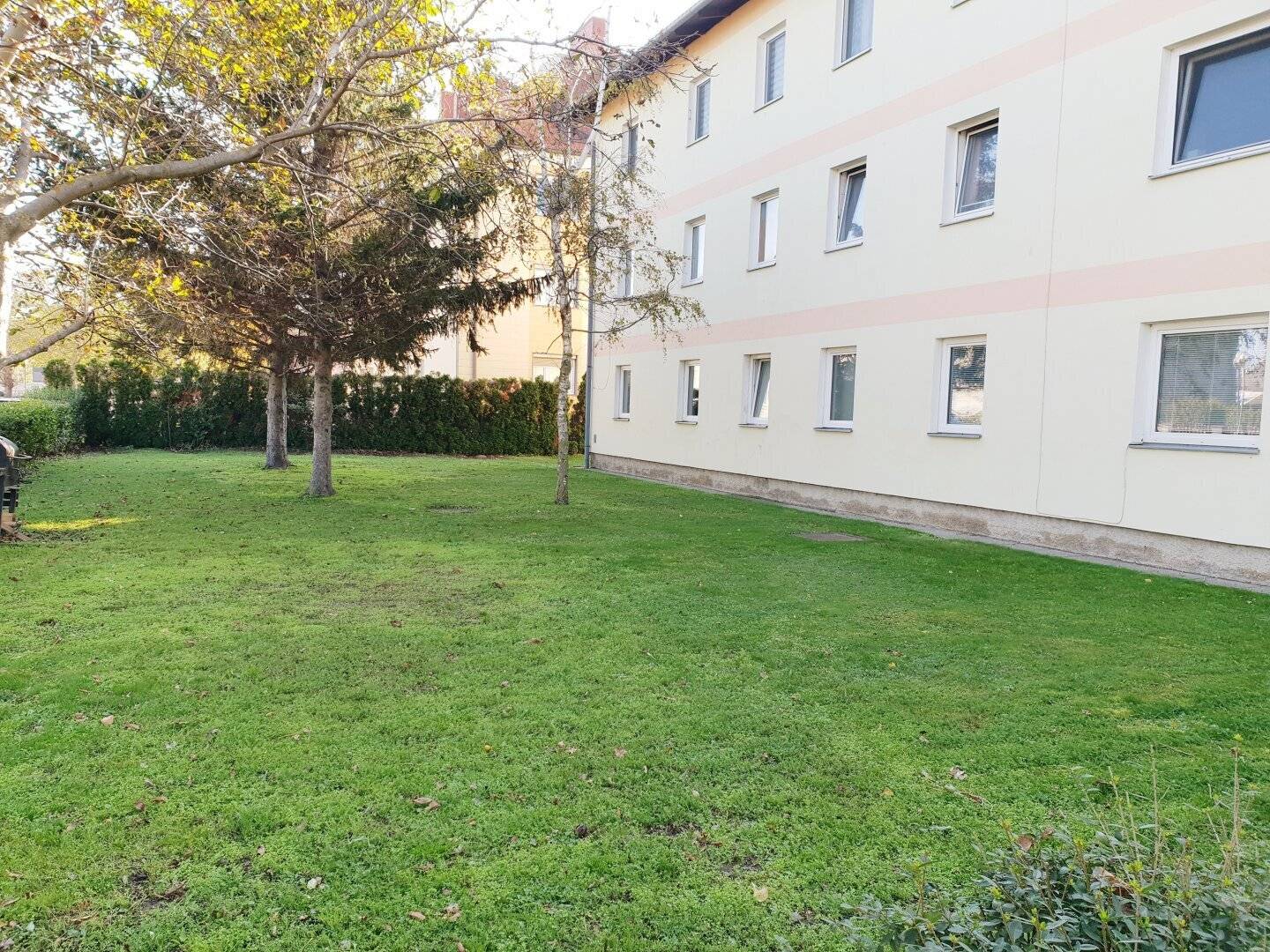 Renovated two-room apartment with new kitchen for rent