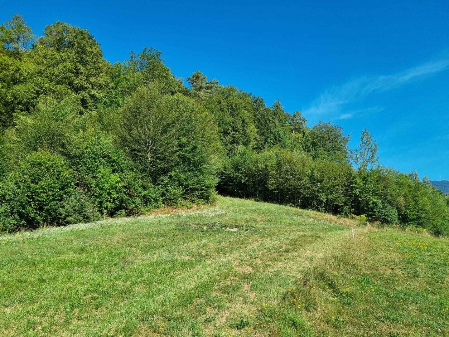 Wohnbauprojekt in 8044 Weinitzen – 7 aufgeschlossene Baugrundstücke in traumhafter Naturlage