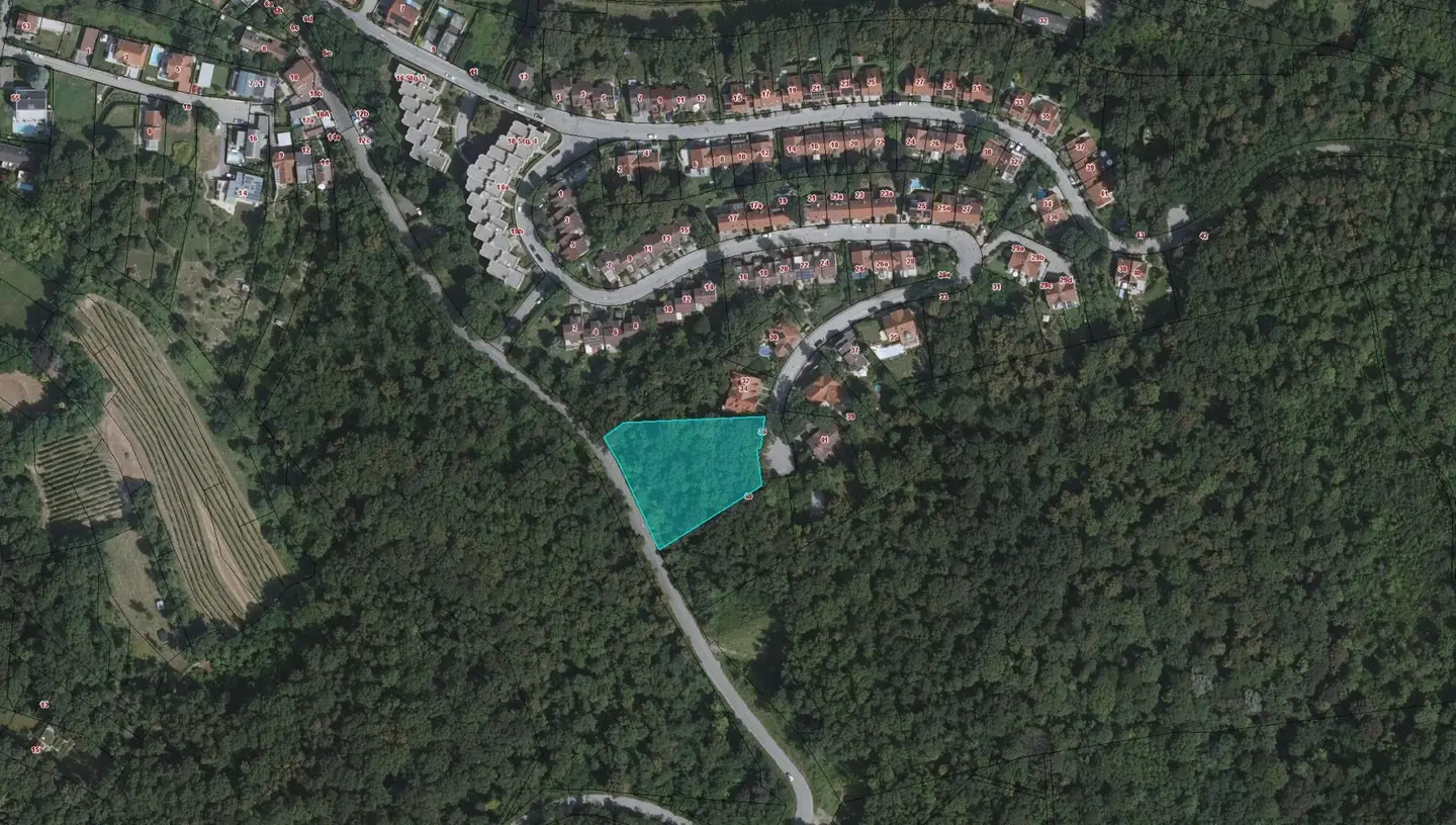 Exklusives Baugrundstück am Bisamberg – Sofortiger Baustart mit bewilligtem Villenprojekt