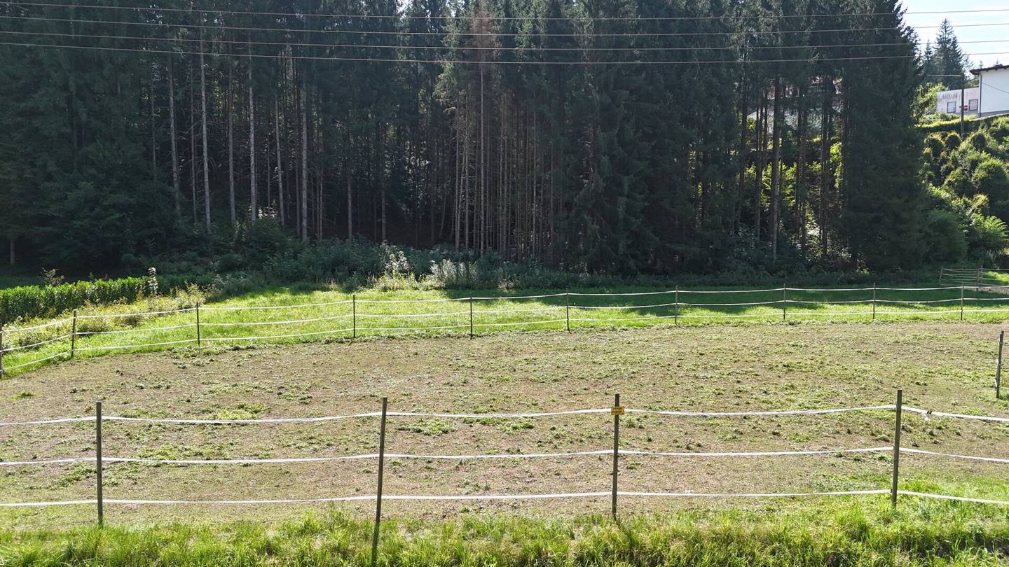 Baugrundstück in Neukirchen bei Altmünster