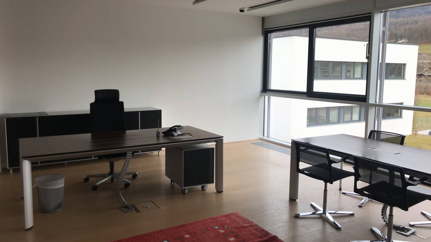 Arbeiten auf hohem Niveau - repräsentatives Büro in Puch/Urstein