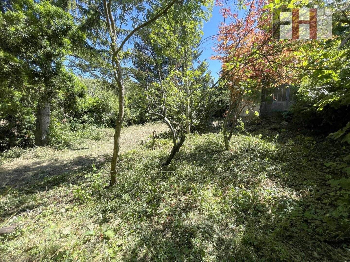 435 m² Kleingartengrundstück mit Hauptwohnsitzeignung in Wien Hietzing Hörndlwald