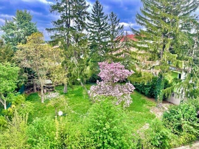 MIETWOHNUNG-Villa-Style - EXZELLENTE DACHAUSBAU-Familienwohnung OHNE DACHSCHRÄGEN mit 4-5-Zimmern mit SAUNA und herrlichem Garten in Grünruhelage- BESTLAGE - KORNEUBURG