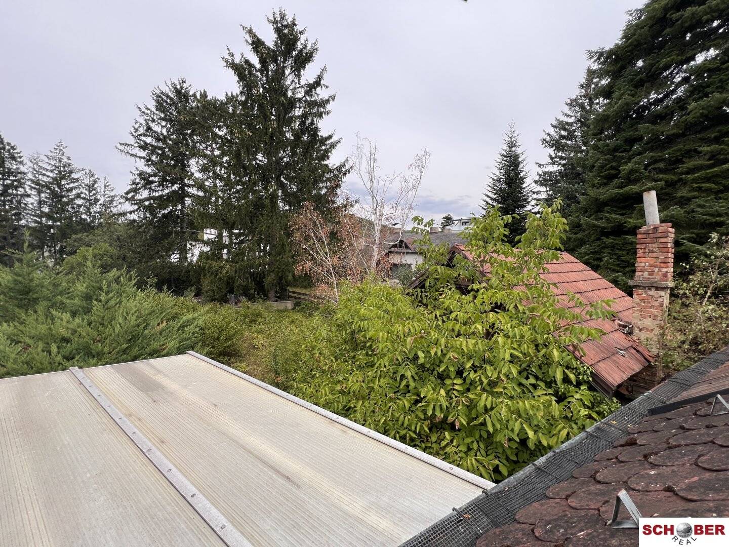 Seltene Gelegenheit am Wolfersberg - 1054 m2 Grund mit Abbruchobjekt
