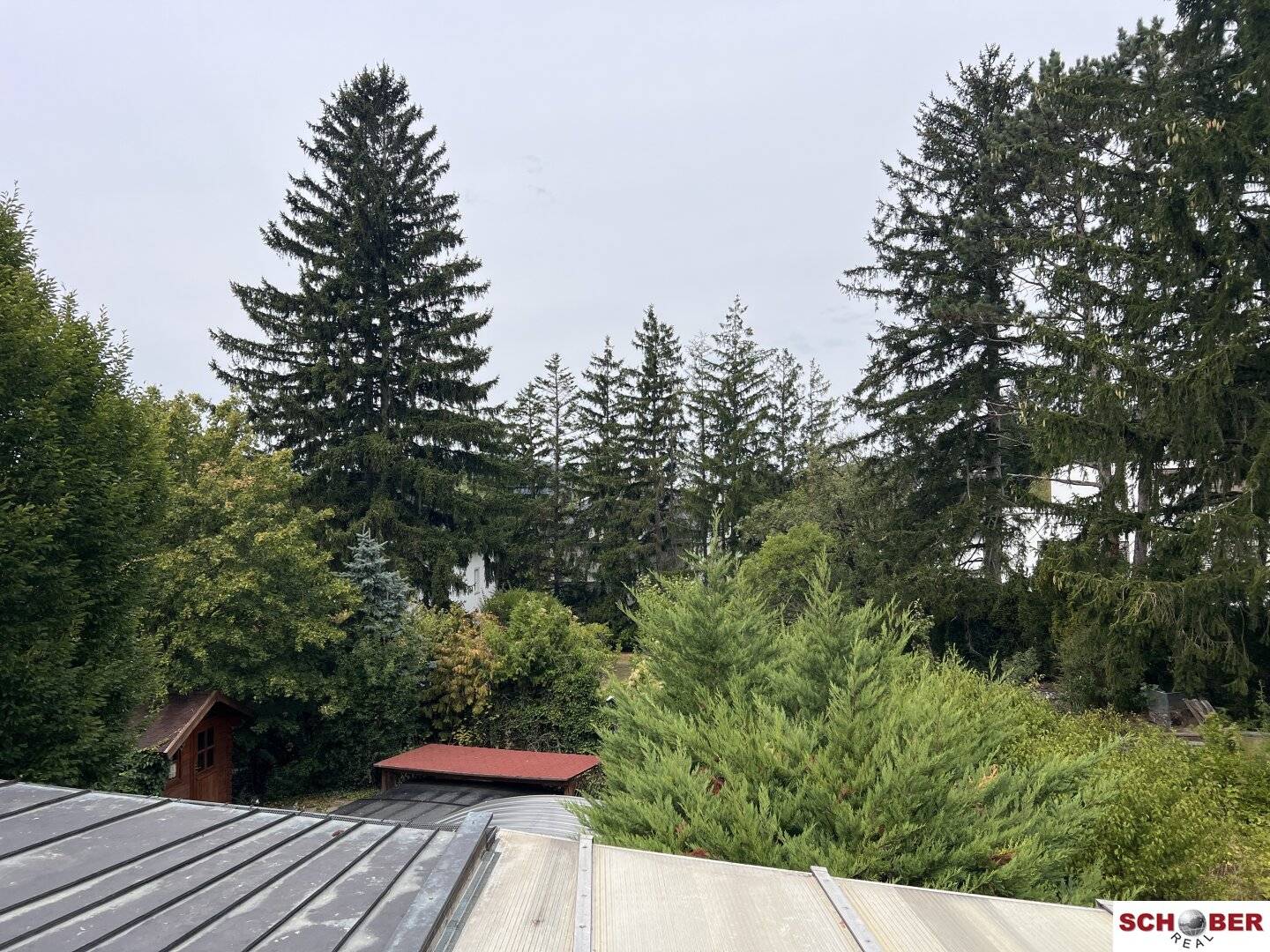 Seltene Gelegenheit am Wolfersberg - 1054 m2 Grund mit Abbruchobjekt