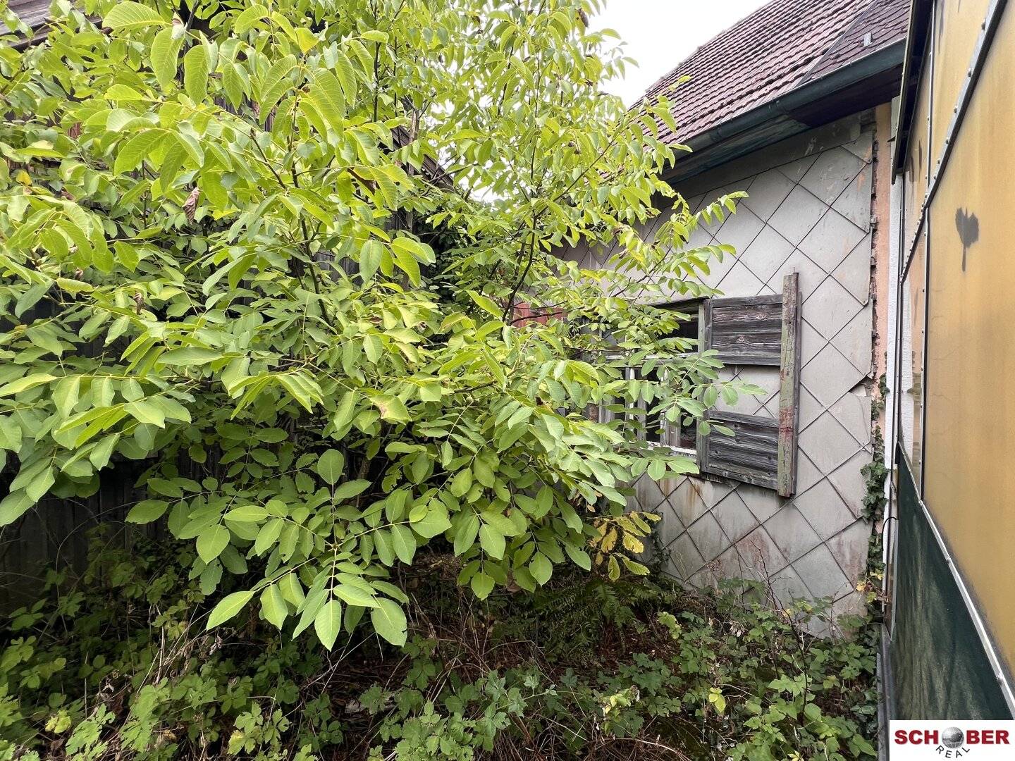 Seltene Gelegenheit am Wolfersberg - 1054 m2 Grund mit Abbruchobjekt