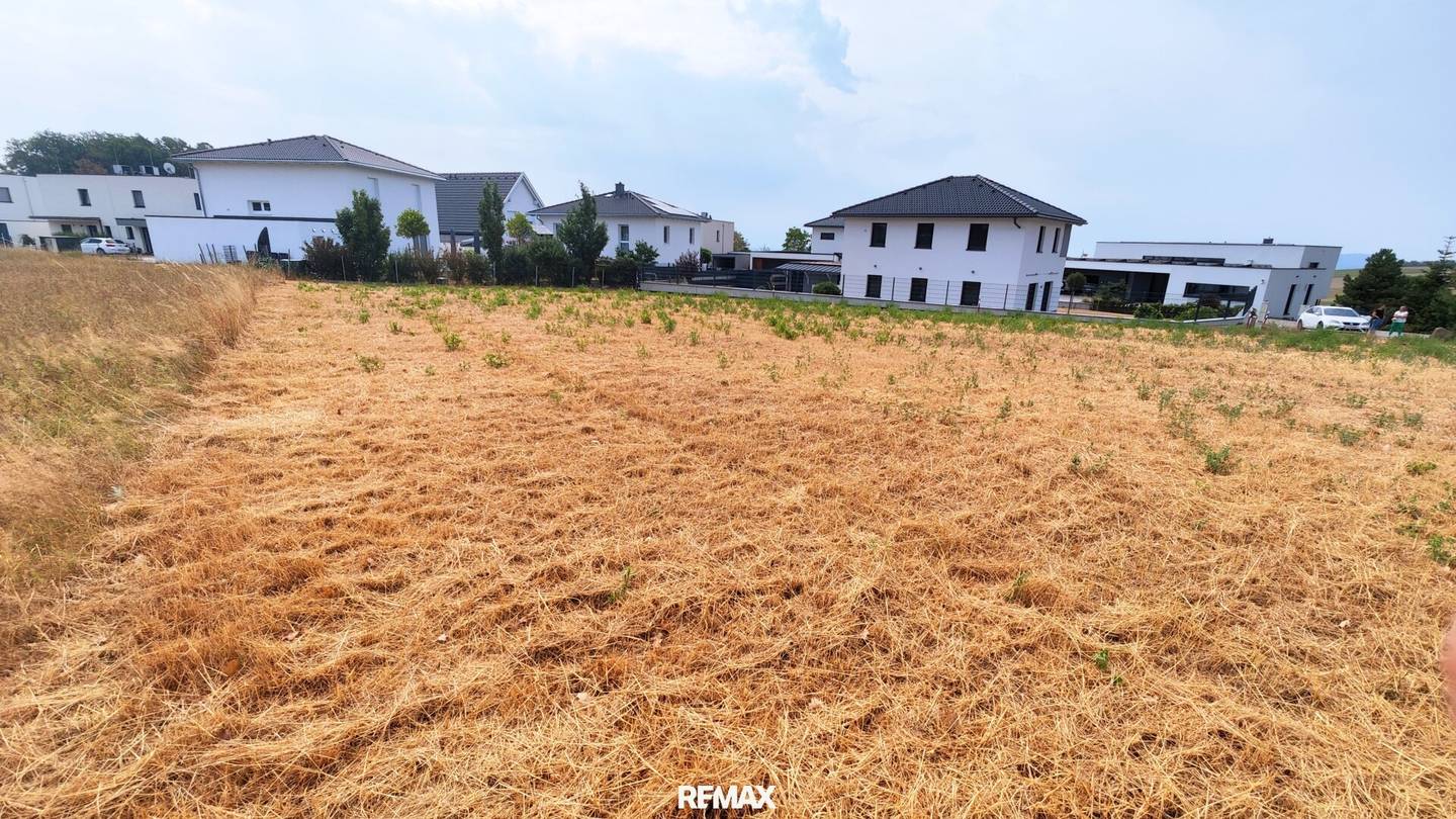 Dream plot with 683 m² – Living where life is at home
