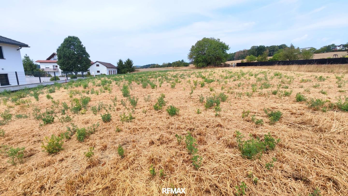 Traumgrundstück mit 683 m² – Wohnen, wo das Leben zuhause ist