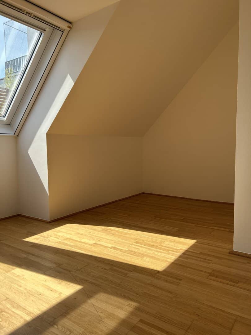 Spacious apartment with terrace