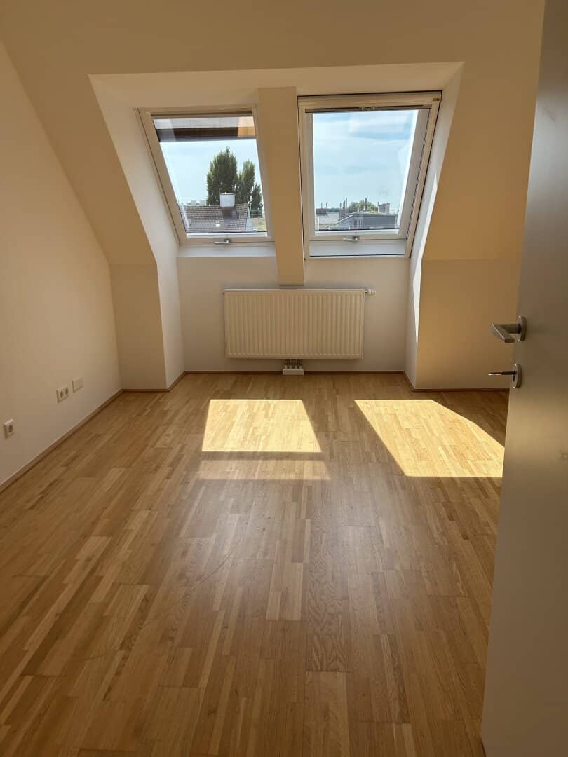 Spacious apartment with terrace