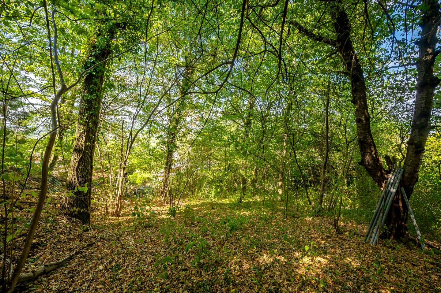 Baugrund mit Fernblick – Flexible Grundstücksgröße