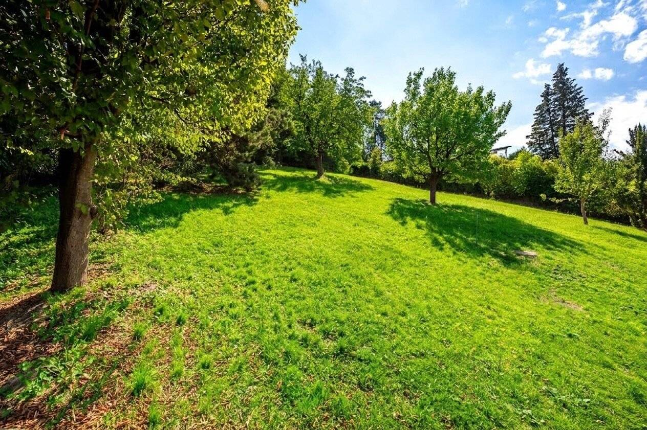 Baugrund mit Fernblick – Flexible Grundstücksgröße