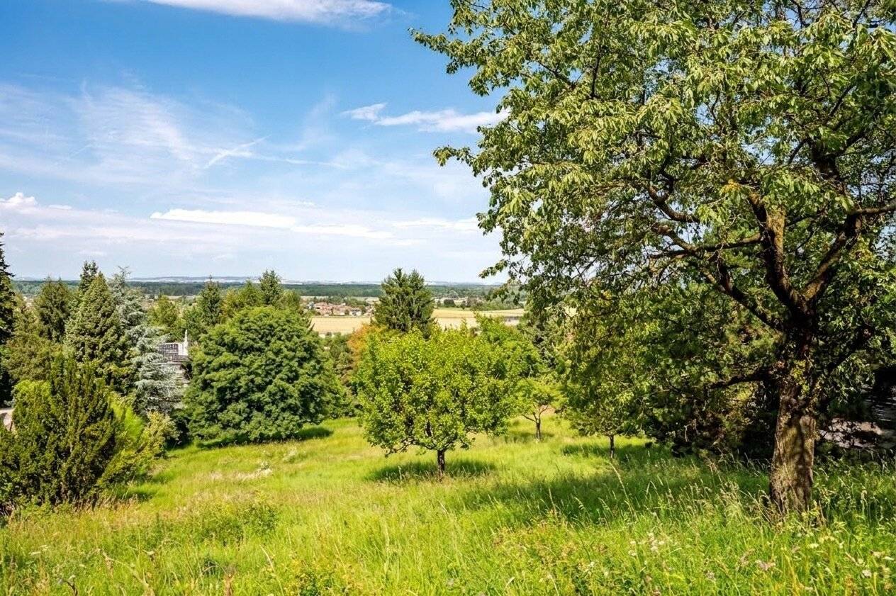Baugrund mit Fernblick – Flexible Grundstücksgröße