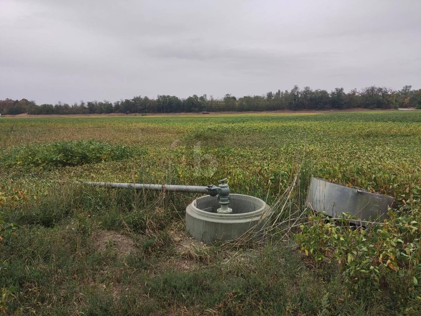Großflächige Agrarfläche mit Wasserkanal Wohnung