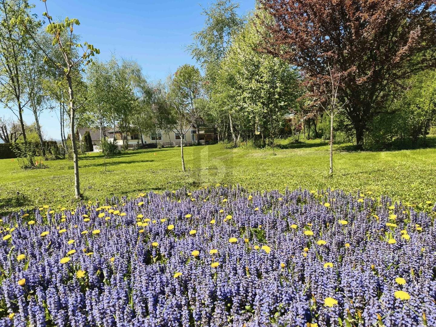 Spacious fully serviced building plot no building obligation Wohnung