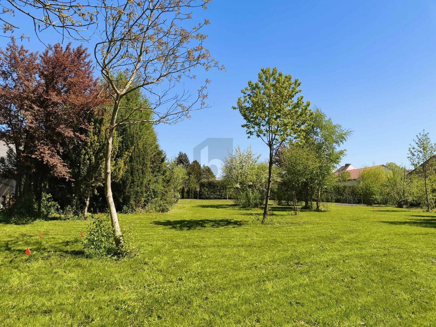 Spacious fully serviced building plot no building obligation Wohnung