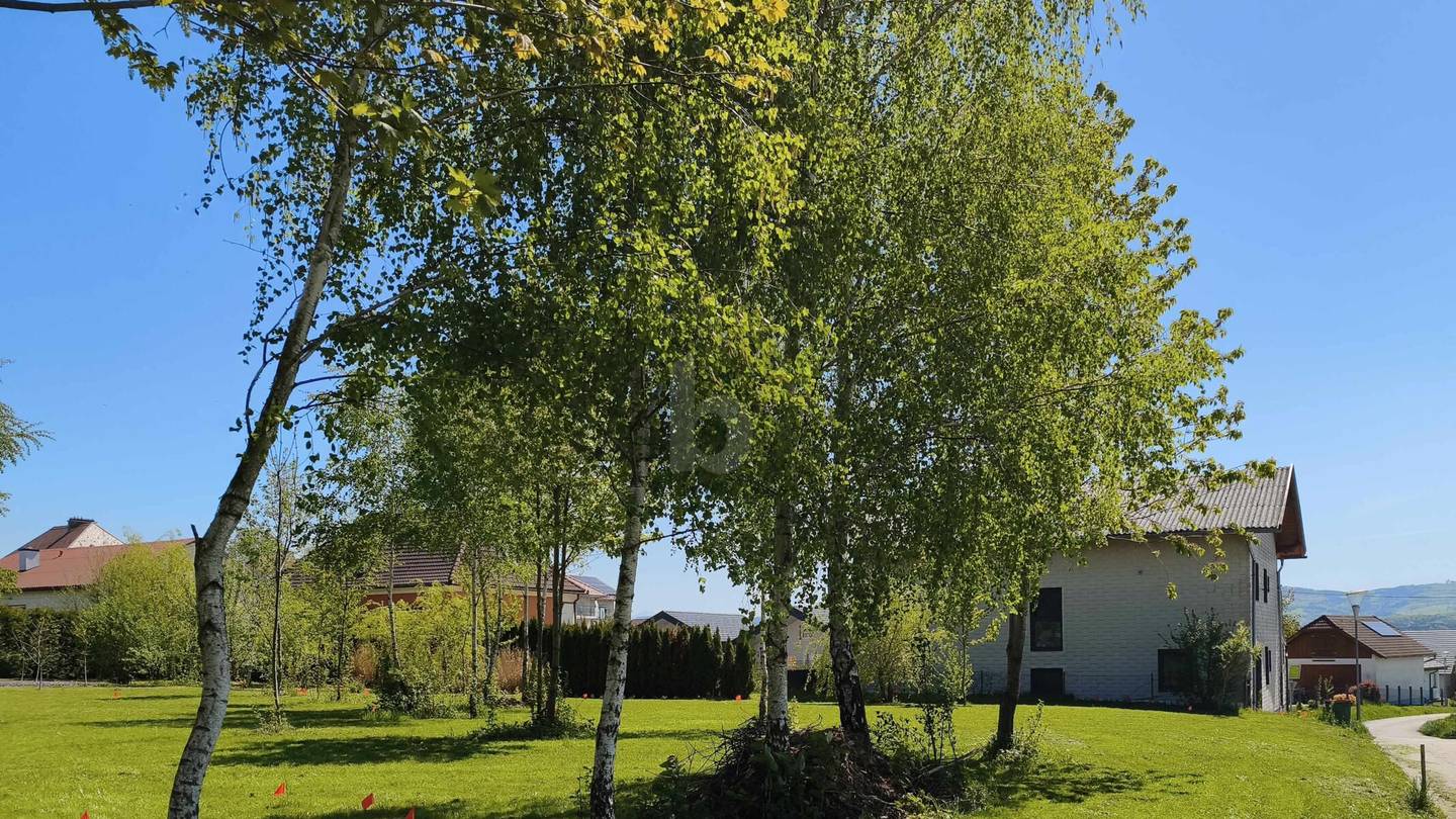Spacious building plot no construction obligation Anlegerwohnung
