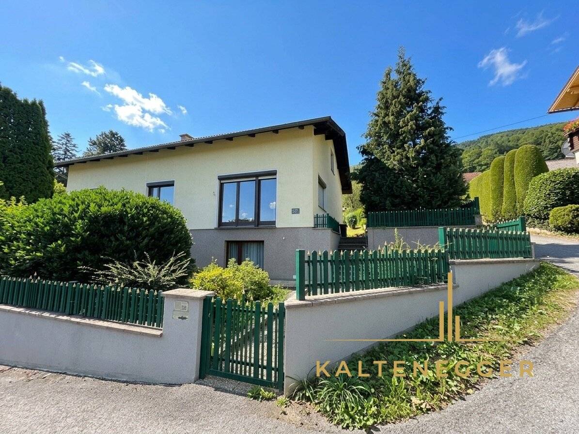 Helles Einfamilienhaus mit großem Garten in ruhiger Lage