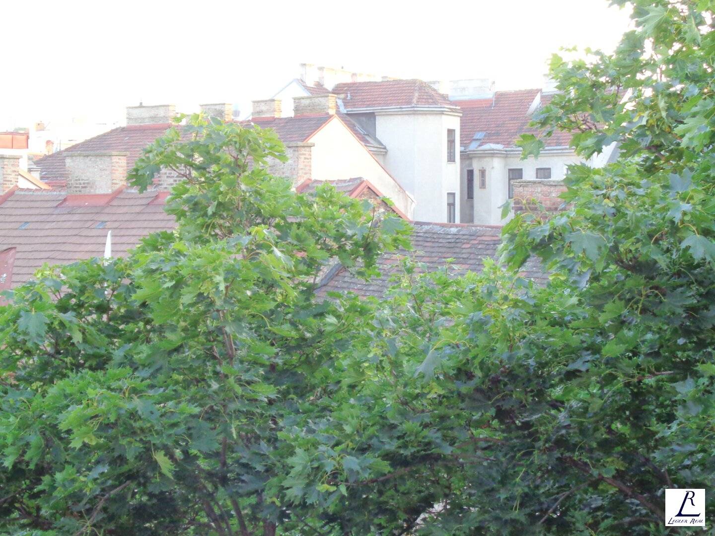 Immobilienbild 2