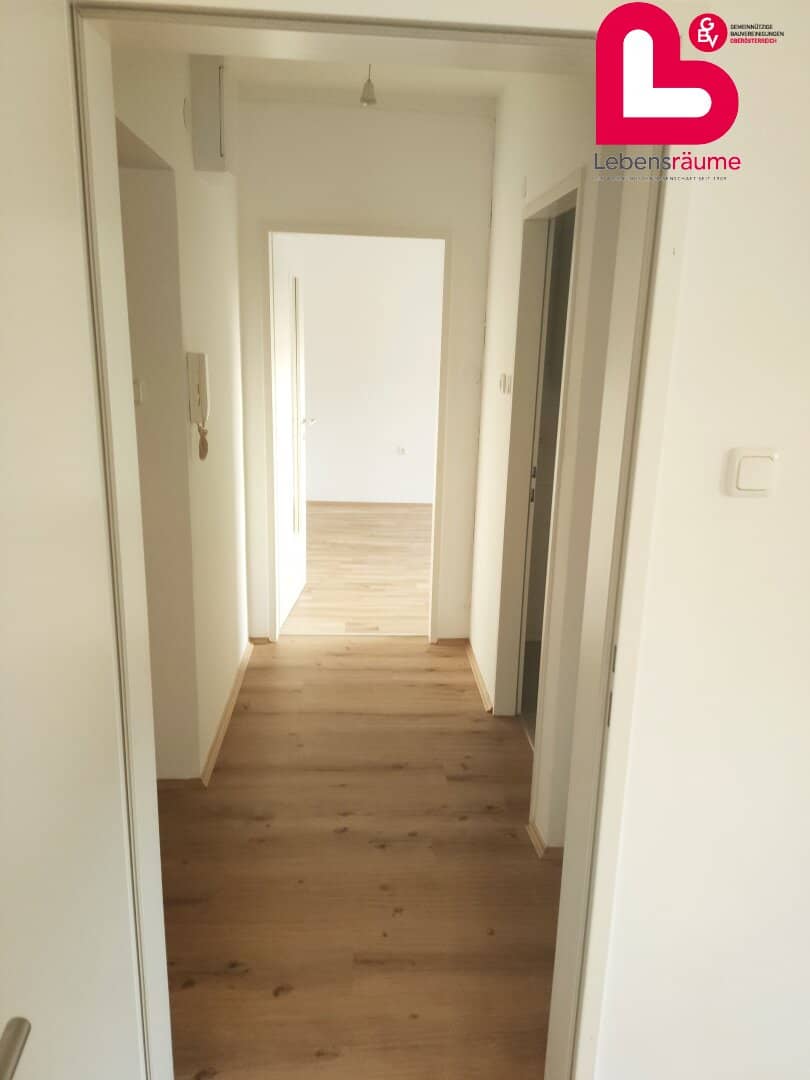Cozy 2-room apartment in Haid with elevator