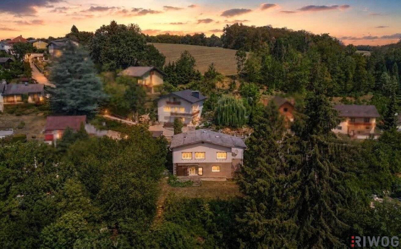 Rarity // south slope // stream // biotope // absolute quiet location at the forest edge