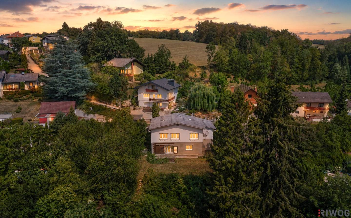 Rarity // south slope // stream // biotope // absolute quiet location at the forest edge