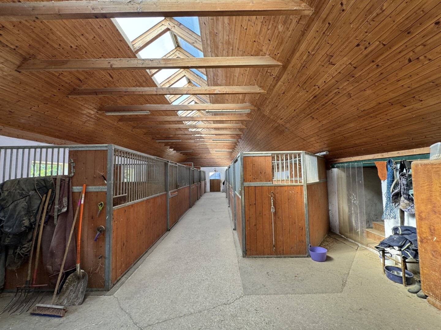 Spacious plot – ideal for agriculture, horse keeping and investors Bad Gleichenberg – quiet and idyllic location ca. 115.917 m²