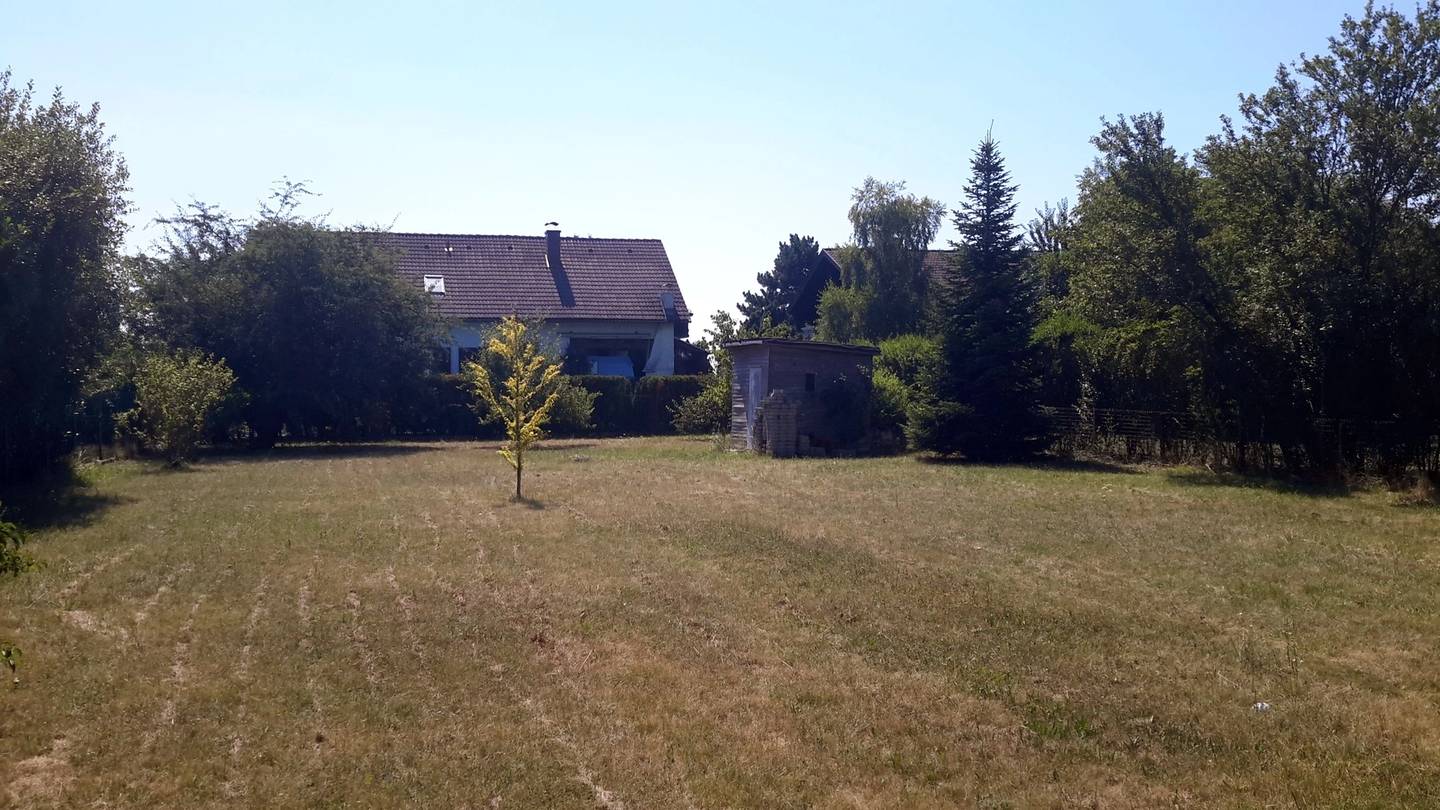 Sonnige Wohnung in grüner ruhiger Lage provisionsfrei
