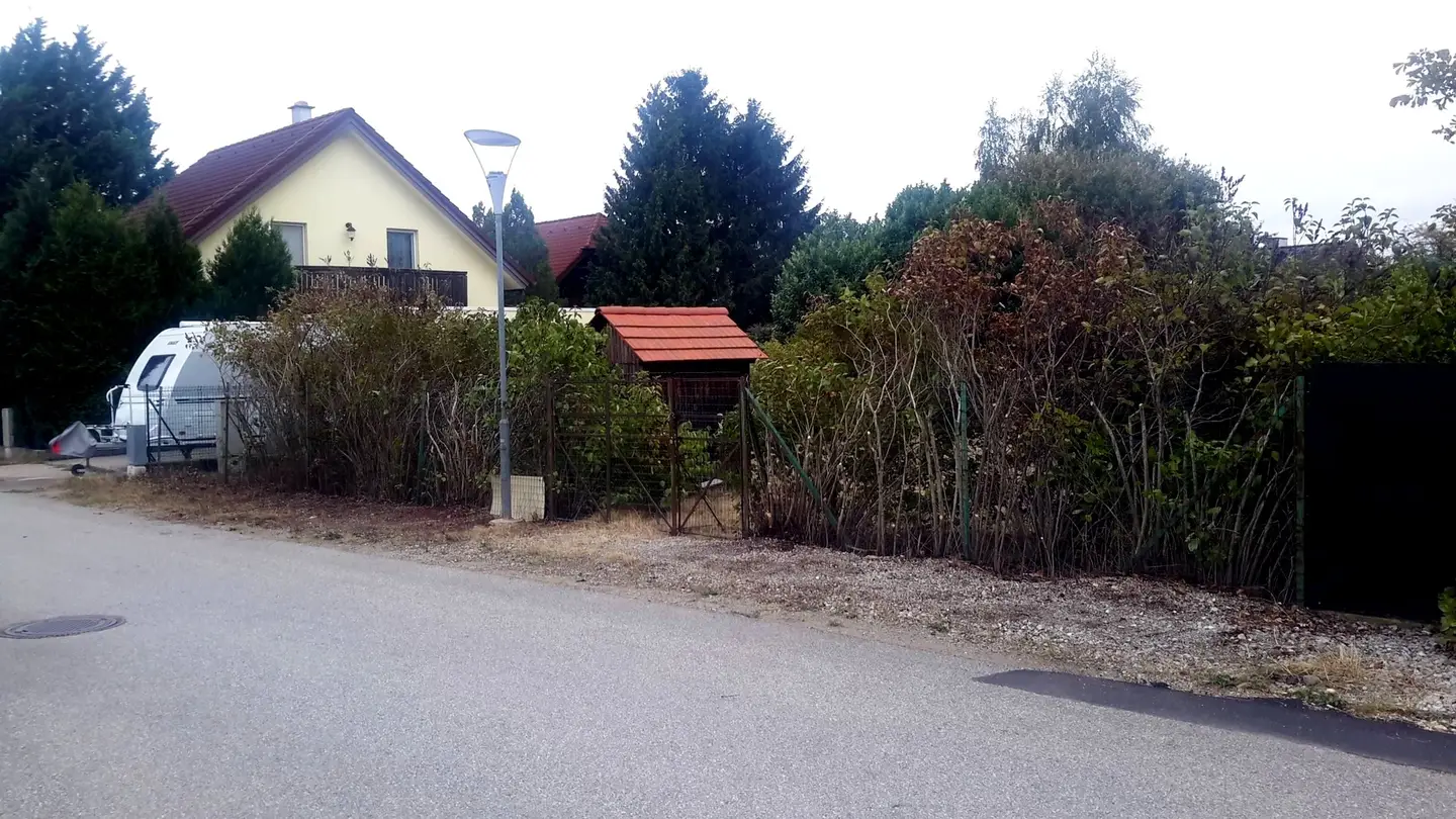 Sonnige Wohnung in grüner ruhiger Lage provisionsfrei