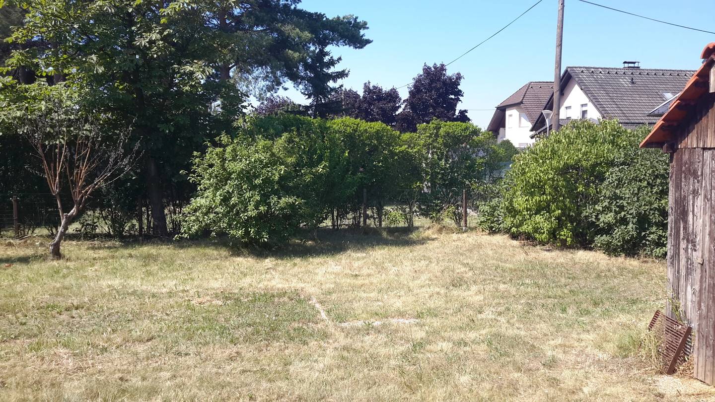 Sonnige Wohnung in grüner ruhiger Lage provisionsfrei