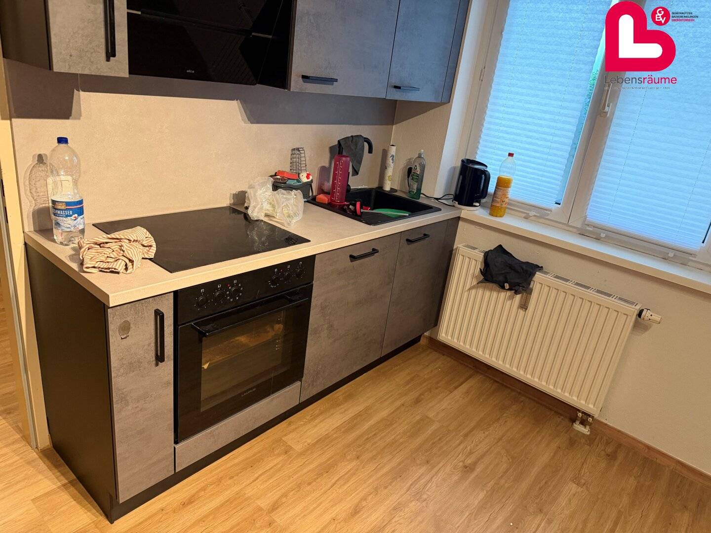Nice 2-room apartment in Ebensee with loggia and underground parking space (WITHOUT ELEVATOR)