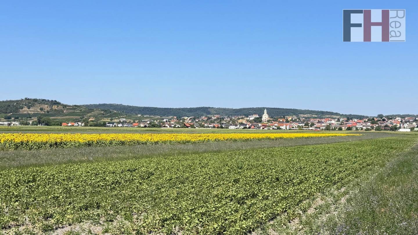 Agricultural Plots in Dispersed Location of the Municipality Jois/Neusiedl