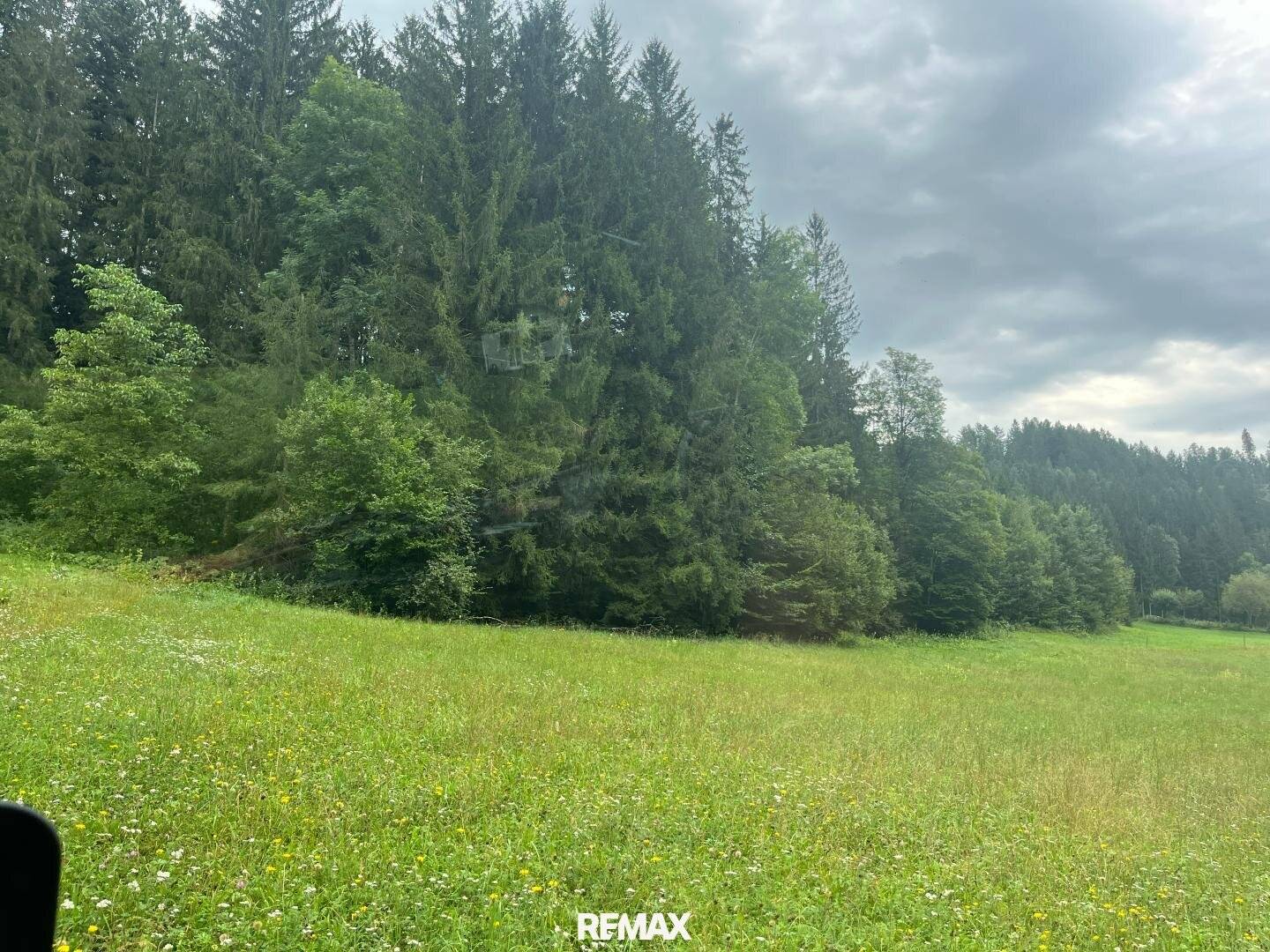 Uriges Bauernhaus in idyllischer Lage mit Wald und Wiesenflächen