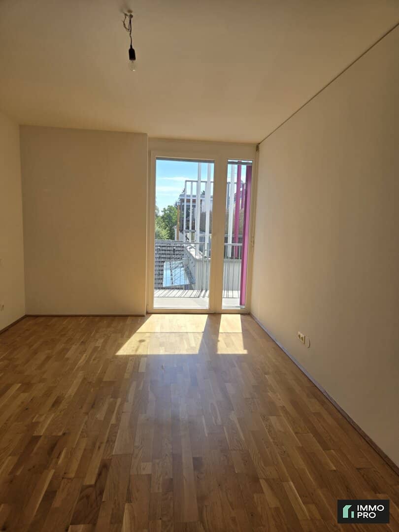 ST. PETER Small apartment Great location Single hit
