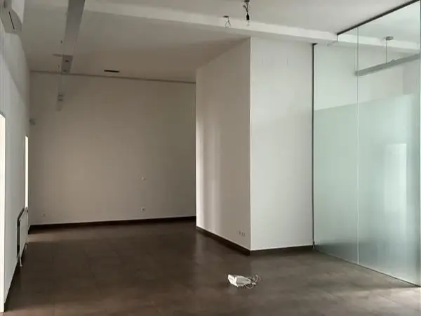 Representative apartment in city center with terrace