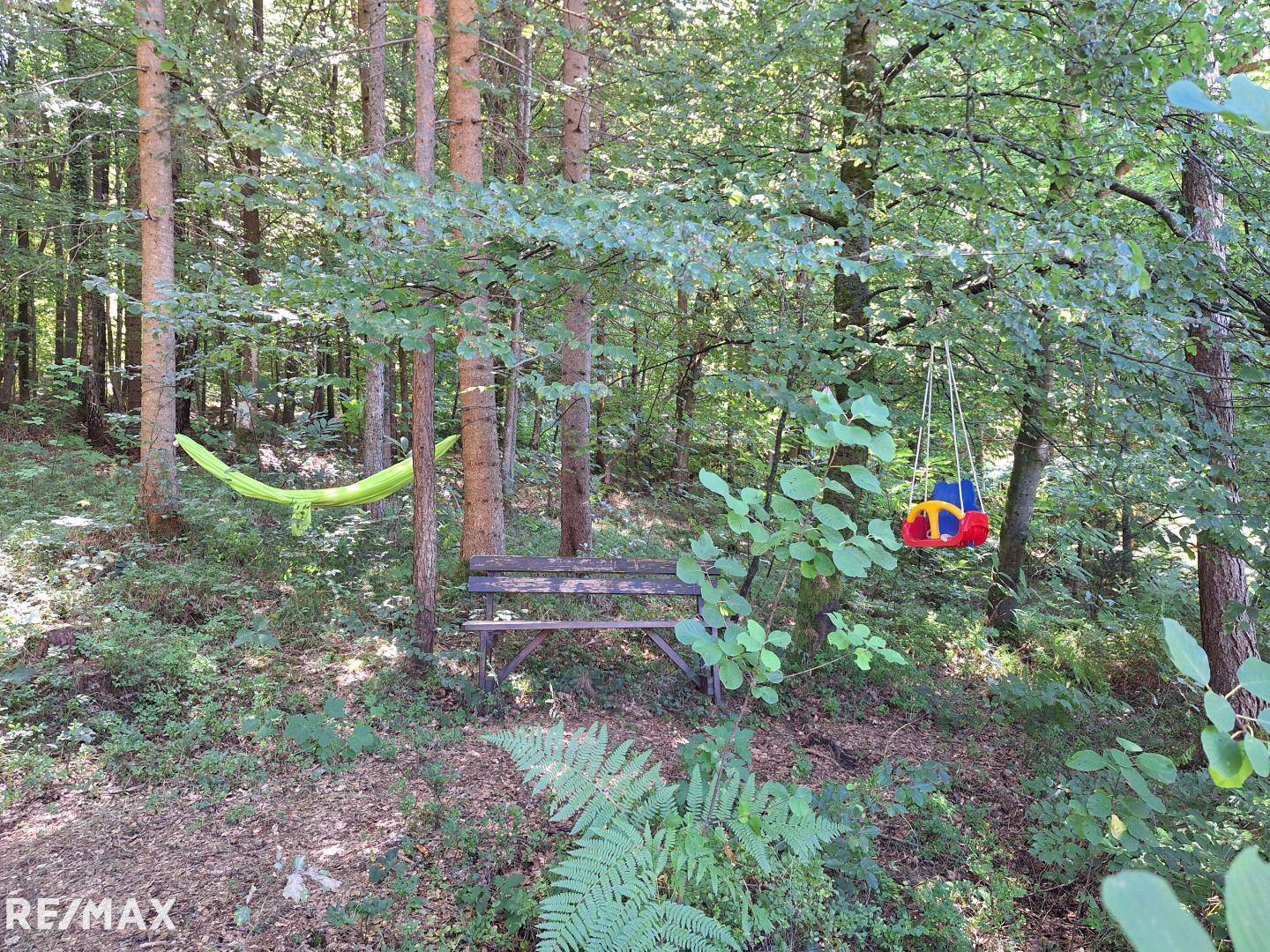 Naturnahes Wohnen mit großem Eigenwald Familienwohnung