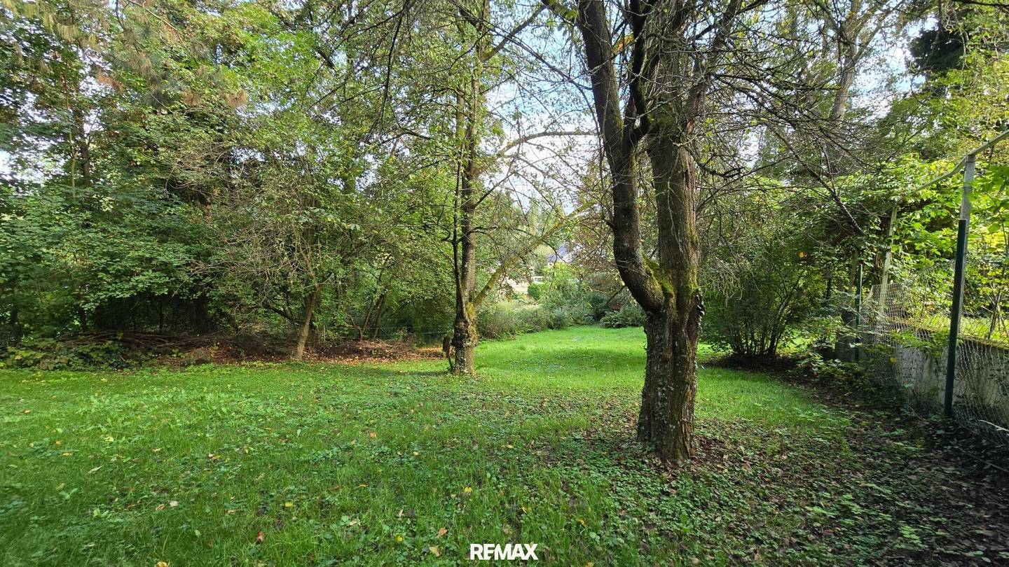 Enchanted jewel on spacious plot in Zaubertal