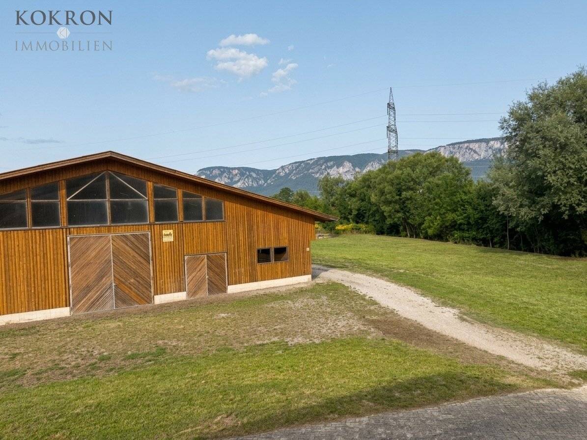 Horse keeping with distant view – agricultural estate in solitary location