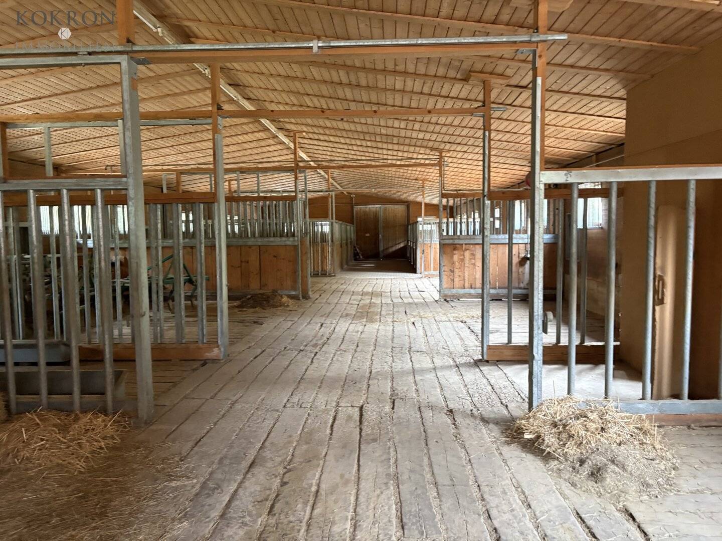 PFERDEHALTUNG MIT WEITBLICK – LANDWIRTSCHAFTLICHES ANWESEN IN ALLEINLAGE