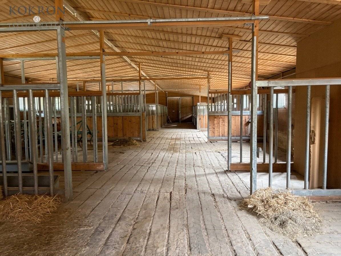 Horse keeping with distant view – agricultural estate in solitary location