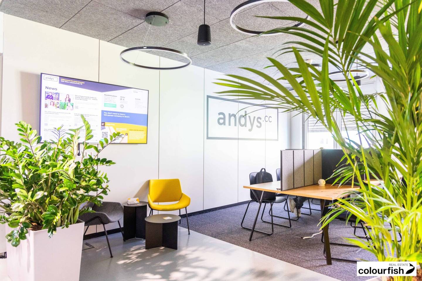 Büroflächen und Co-working im 2. Bezirk