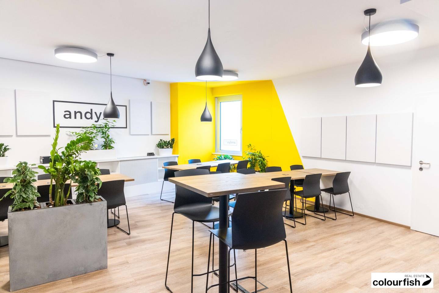 Großzügige Private-Offices und Co-Working im 2. Bezirk