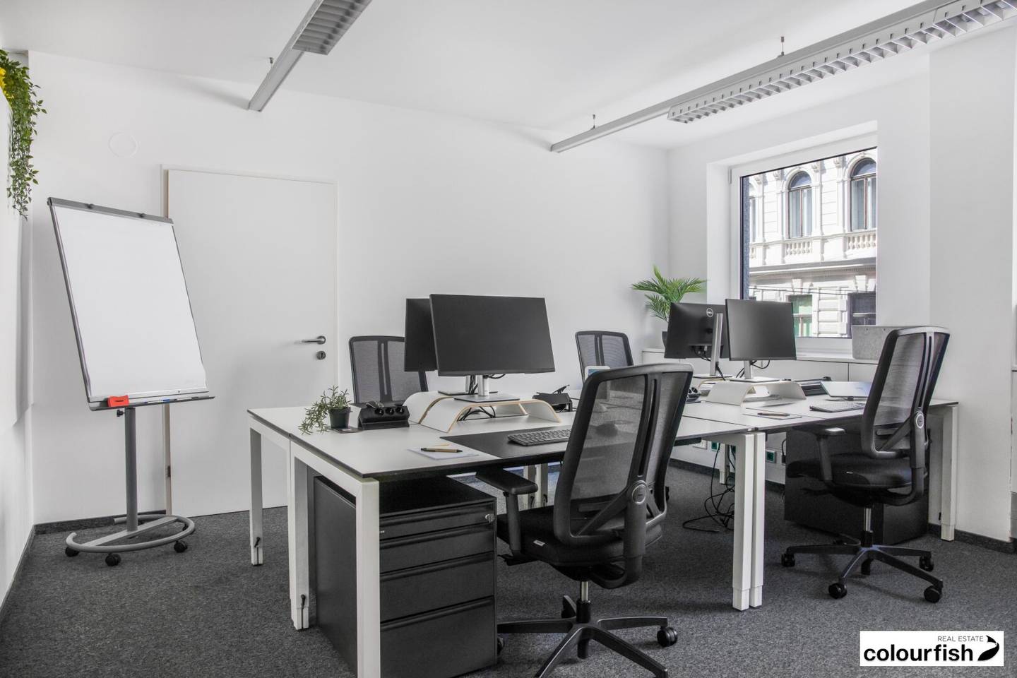 Private-Office und Co-Working im 6.Bezirk