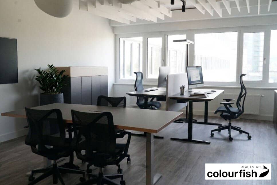 Spacious Office Spaces and Co-Working Areas