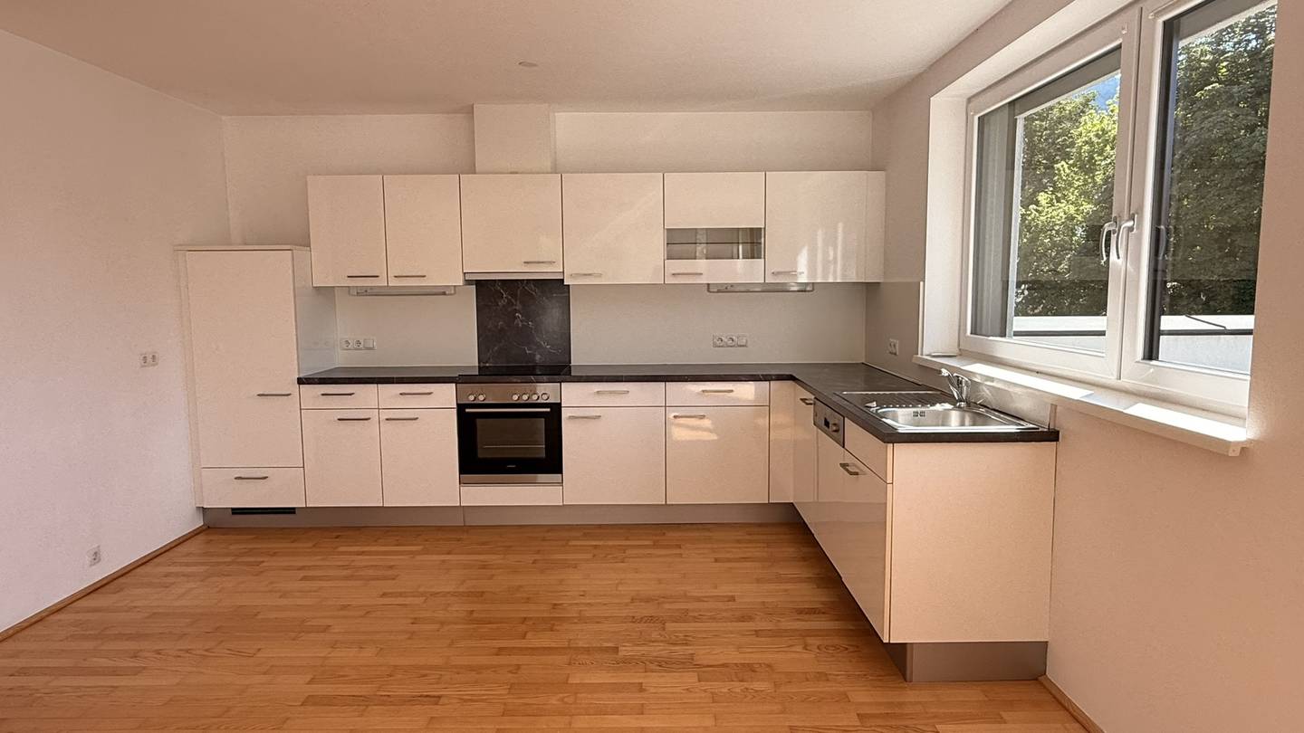 Penthouse with roof terrace and view of the Tennengebirge