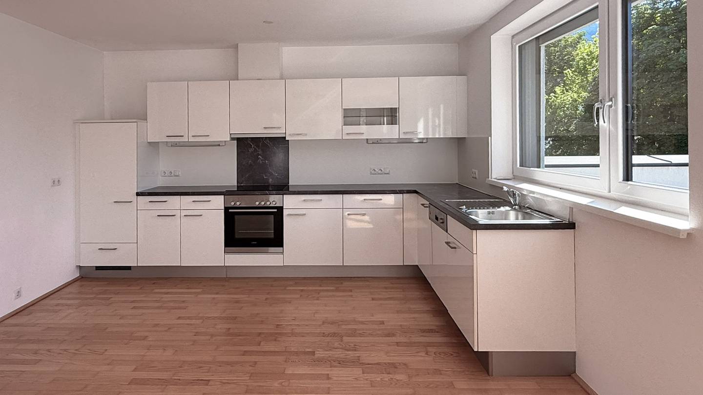 Penthouse with roof terrace and view of the Tennengebirge