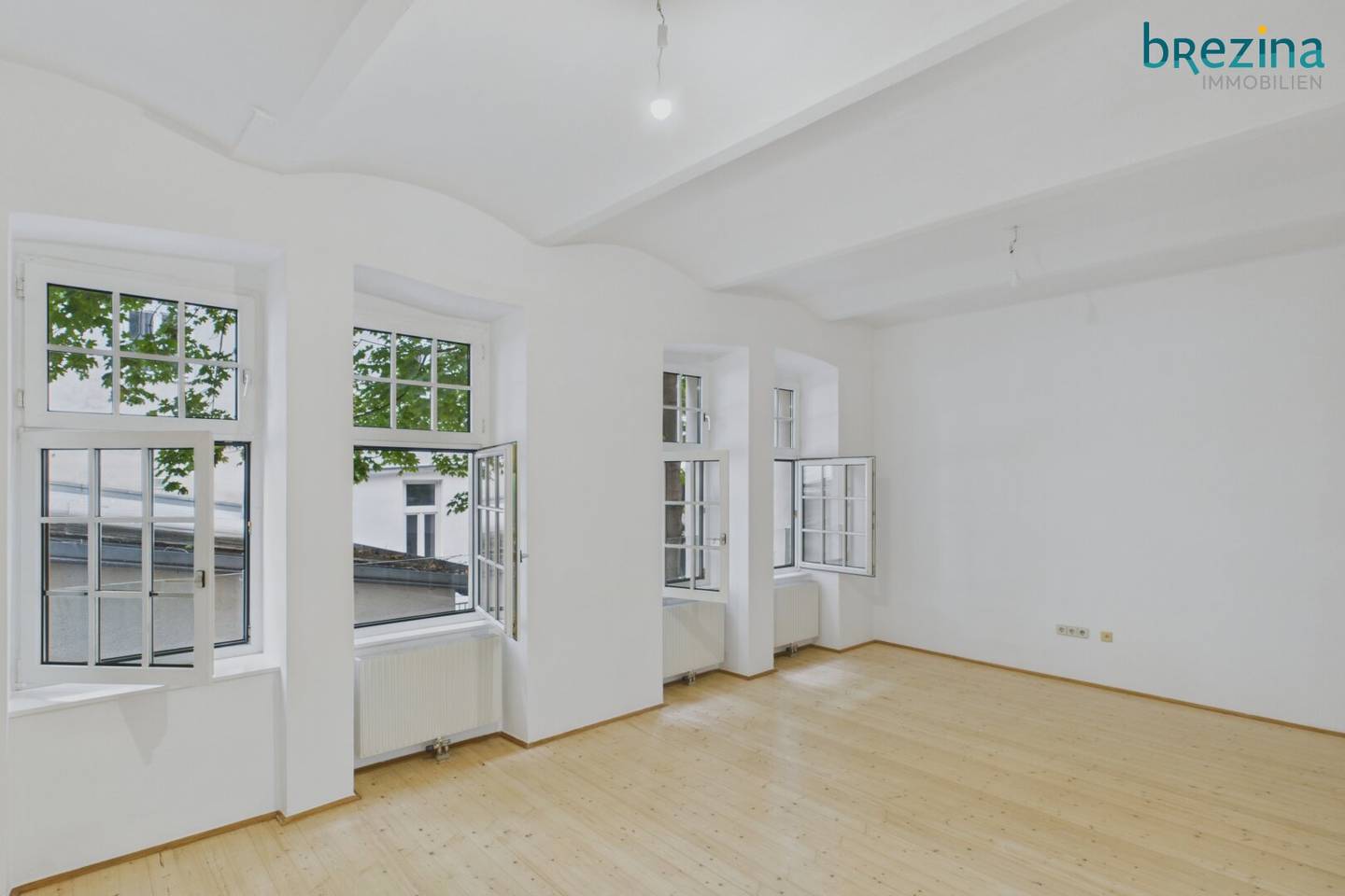 Ein/dein "Träumchen" loftartige Gartenwohnung mitten im 7. Bezirk Ruhelage im hinteren Innenhof